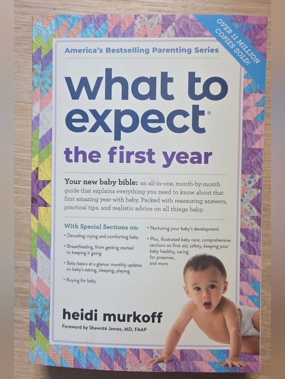What To Expect The First Year Book